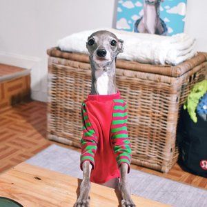 Little Milo's Closet Custom Tika Christmas Top